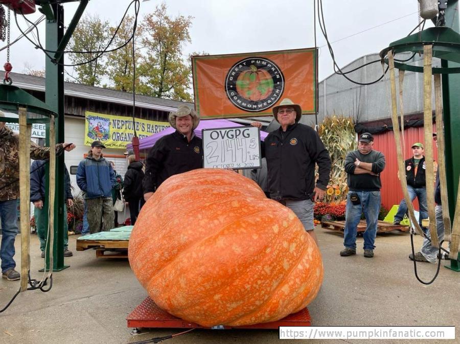 pumpkin.aquila.infn.it/forechem/fig/aqi_lma_2days_