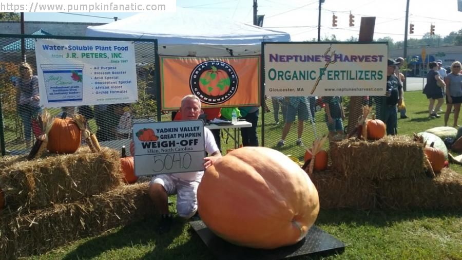 ted klowan franklin ma Pumpkins Grown From Your Seed Immune and detox support